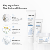 Kit hydratant 3 étapes à la sève de bouleau pour soins de la peau, marque privée, avec chouchou et coffret cadeau personnalisé