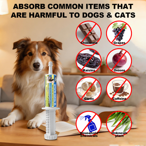 Gel de <span class=keywords><strong>charbon</strong></span> <span class=keywords><strong>actif</strong></span> 100% naturel à haute absorption <span class=keywords><strong>pour</strong></span> <span class=keywords><strong>chiens</strong></span> et chats - Product Image 2