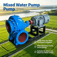Pompe centrifuge à haut débit pour eau mélangée de 4, 6 et 8 pouces pour l'irrigation agricole