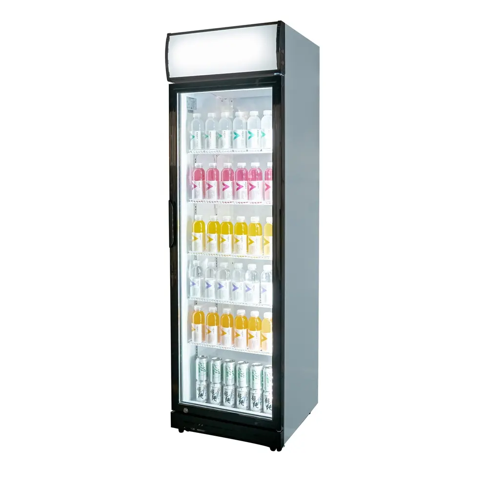 220V verstellbarer vertikaler Glastür-Getränke kühler Kühlschrank-Stand kühler