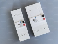 Disjoncteur PG260500 OEM 1P+N 30-60A à Déclenchement Réglable pour Systèmes Électriques Commerciaux