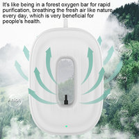Nouveau mini purificateur d'air portable universel pour voiture, stérilisateur d'air personnel à ions négatifs à faible bruit, collier personnel