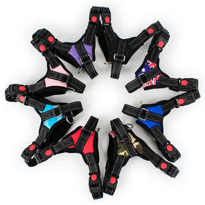 Harnais pour chien en nylon résistant pour promener son chien, laisse pour chien colorée - Product Image 2