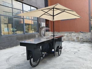 Carrito de Comida Triciclo Multifuncional Resistente a la Intemperie para Helados, Hot Dogs, Dulces y Papas Fritas - Uso en Exteriores - Product Image 5