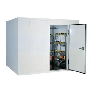 Refrigeration walk in cooler / walk in chiller room