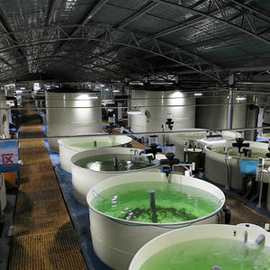 Ras System Équipement d'aquaculture <span class=keywords><strong>pour</strong></span> <span class=keywords><strong>la</strong></span> pisciculture de crevettes tilapia dans les étangs - Product Image 1