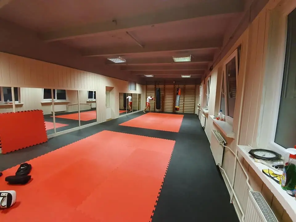 Çocuklar Playroom yer karosu EVA köpük kauçuk Judo tatami karate bulmaca matı aikido için tekvando matı birbirine zemin spor salonu matı