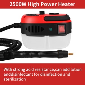 2500W 110V 220V Áp Lực Cao Và Nhiệt Độ Cầm Tay Hơi Nước Sạch Hơn Cho Điều Hòa Không Khí Nhà Bếp Mui Xe Hấp Sạch Hơn - Product Image 3