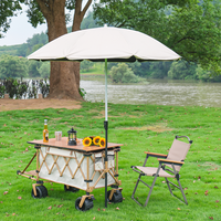 Chariot pliable pour pique-nique, chariot de camping avec table pliante réglable, chariot de vente ambulante avec parasol