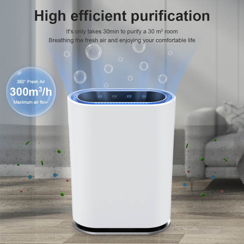 HEPA Desktop Air Purifier with Ionizer