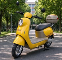 Moto électrique YT à cadre en acier à haute teneur en carbone, moteur sans balais 1000W-2000W, 60V/72V, 60-70km/h, pneu tubeless 300-10, batterie au lithium