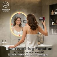 Miroir de salle de bain ovale en verre LED 20x28 avec éclairage frontal et arrière, anti-buée, 3 couleurs réglables, dimmable verticalement uniquement