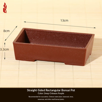 Nouveaux pots à succulentes en résine de style chinois avec un design à parois épaissies respirantes pour balcon, jardin, bureau