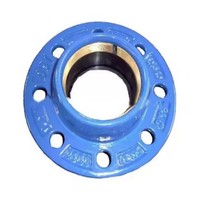 Adaptateur à bride rapide en fonte ductile DN80 FH Factory pour tuyaux PVC/PE avec bague en laiton