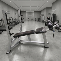 Équipement de musculation professionnel : Banc de musculation réglable multi-positions pour pectoraux et bras, à charge libre, inclinable
