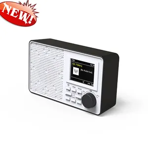 New Design Digital Radio OEM/ODM Color Display 2.4 inch TFT DAB/DAB+ Radio