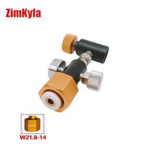 Adaptateur en laiton pour cartouche Sodastream Fizzi Gold (filetage TR21-4) pour outils pneumatiques 2000 PSI, pour machine à eau gazeuse personnalisée CO2 - Product Image 2