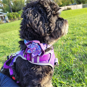 Collares con lazo para perros y niñas, collares de seguridad ajustables con diseño Floral múltiple para mascotas, de Metal para bodas y vacaciones - Product Image 6