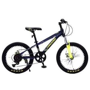 Free Shipping High Carbon Steel <b>Frame</b> Bysicle 20/22 Inch <b>Bicycle</b>//velo Vtt Cycle for Men and Women Ns-sd011 Kids Bike - Product Image 1