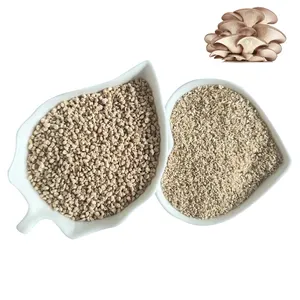 Austern pilz kompost/Substrat Maiskolben pulver für die Pilzzucht