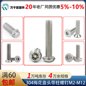 Wanqian Fasteners 304 Stainless Steel Torx Pan Head Screw M2 M2.5 M3 M4 Standard Grade 10.9 12.9 Passivated - Product Image 4
