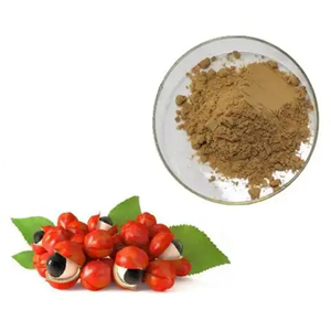 <span class=keywords><strong>Poudre</strong></span> d'extrait de graines de <span class=keywords><strong>guarana</strong></span> - Product Image 3