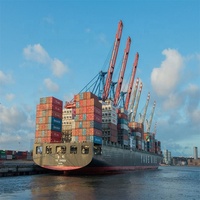 TipTop Freight Forwarder propose un service d'expédition maritime express LCL DDP de Shenzhen, Chine, vers les États-Unis