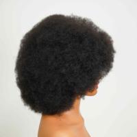 Perruques HD Afro Kinky Curly en Cheveux Humains Brésiliens Vierges 100% Faits à la Machine, Qualité Supérieure 9A, Doux et Anti-Nœuds, Petites, de 14 à 20 Pouces, Vente en Gros