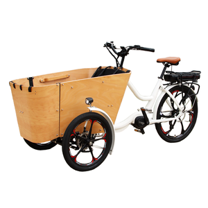 Bicicletta Elettrica Cargo <span class=keywords><strong>a</strong></span> <span class=keywords><strong>3</strong></span> <span class=keywords><strong>Ruote</strong></span> con Motore Centrale Bafang 500W, Sedile per Bambini e Vano Portaoggetti - Product Image 1