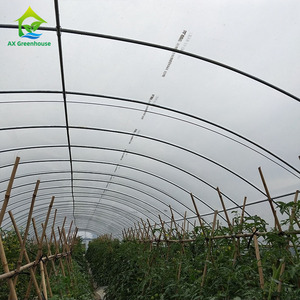 Serres agricoles à tunnel bas à prix abordable, structure en acier galvanisé commercial, film résistant aux UV - Product Image 3