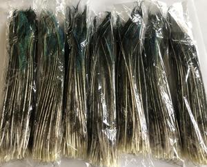 Giáng Sinh Đồ Trang Trí Số Lượng Lớn Bất Nhuộm Lông Thủ Công Mỹ Nghệ Con Công Trang Trí Nội Thất Tự Nhiên Màu Trắng Con Công Lông Cho Trang Trí Nội Thất - Product Image 4