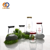 Botol Minuman Jus dengan Tutup Sekrup, Botol Saus Cabai Bulat, Botol Saus Tomat, Botol Kaca