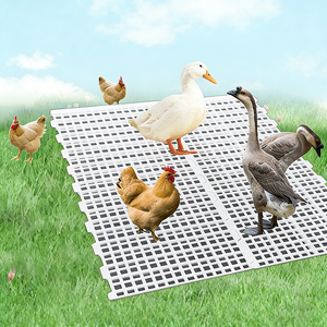 Kümes Hayvanları için Kalınlaştırılmış Plastik Çıtalı Döşeme, Yeniden Kullanılabilir Birbirine Geçen Gübre Sızıntı Önleyici Izgara Levha (Tavuklar, Ördekler, Kazlar, Güvercinler için) - Product Image 1