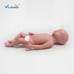 Modelo <span class=keywords><strong>de</strong></span> Bebé Flexible que Puede Pasar por la Pelvis para Demostración <span class=keywords><strong>de</strong></span> Parto en Obstetricia, Entrenamiento <span class=keywords><strong>de</strong></span> Enfermería - Product Image 2