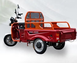 Tùy Chỉnh Mới Mô Hình Pin-Powered 2 Chỗ Ngồi Dành Cho Người Lớn 3 Bánh Xe Hàng Hóa Điện Ba Bánh - Product Image 6