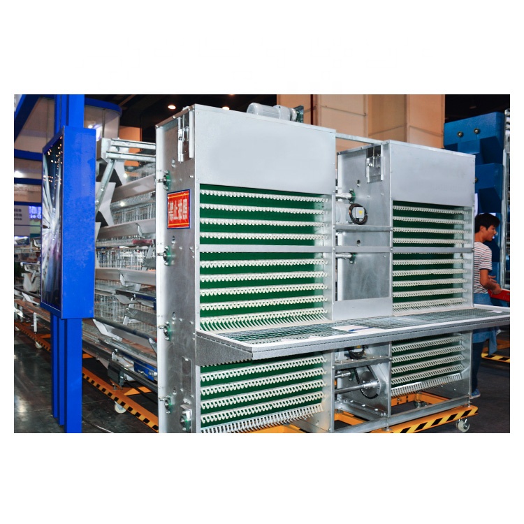Hot Sale Durable Automated Poultry Farm Equipment a Type Egg Layer Chicken Battery Cages for Poultry Farm