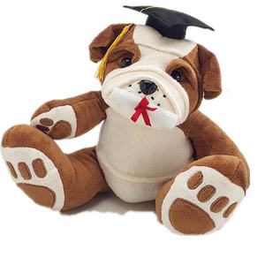 Urso de pelúcia congratulações, urso de pelúcia, brinquedo para presente, oem, atacado, urso de pelúcia com bocada - Product Image 3