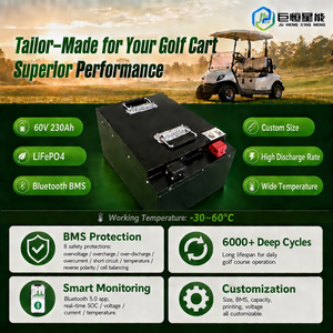 13.8kW Smart 60V LiFePO4 Baterai Lithium Iron Phosphate untuk Golf Cart Forklift Deep Cycle Grade A Smart BMS Bluetooth - Product Image 4