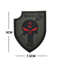 Vente en gros de patchs tactiques de moral SEAL NST BRAVO Skull Shield Badges en tissu brodé Punisher Brassard avec boucle à crochet