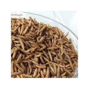 Лучшие продажи кормов насекомых белок живой личинки Черный Летающий солдат