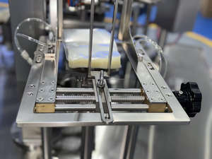 เครื่องบรรจุสุญญากาศแบบหมุนบรรจุภัณฑ์ปลอดเชื้อสำหรับกุ้งเพส8SK-200 - Product Image 5