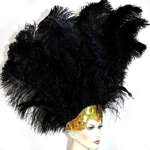 Grosir Pabrik pemasok bulu Tiongkok Festival Karnaval promosi bulu besar bulu burung unta tiang tebal dicelup - Product Image 3