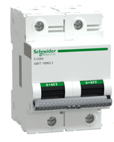 Disjoncteur Schneider C120H 2 pôles D80A, haute capacité de coupure pour circuits électriques industriels