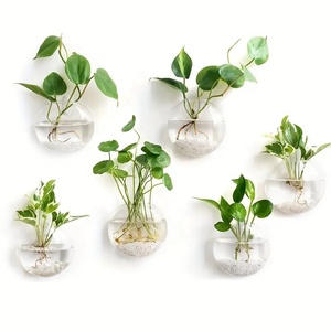 <span class=keywords><strong>Vase</strong></span> mural créatif, <span class=keywords><strong>vase</strong></span> hydroponique mural en verre radis vert, décoration murale simple pour salon, plantes vertes - Product Image 5