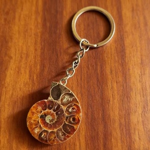 Porte-clés Fossile d'Ammonite de Madagascar, Demi-tranche Polie, Spécimen de Coquille de Nautilus, Cristal, Pendentif de Sac pour Cadeau Souvenir - Product Image 6
