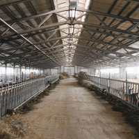 Poulailler préfabriqué moderne avec murs isolés et ventilation du toit, idéal pour l'élevage avicole commercial