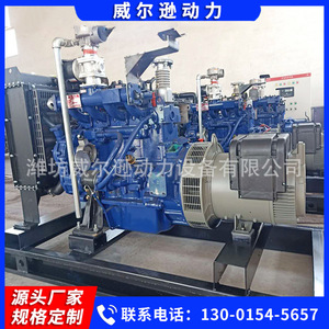 Grupo Electrógeno de Gas Weifang de 30kW, Equipo de Energía con Motor de Gas Natural y Biogás - Product Image 2