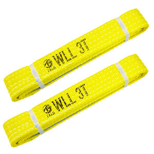 高強度ポリエステルWll 5トン6:1平らな目織りR平らな織りの持ち上げと取り扱いウェビングスリング - Product Image 3