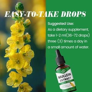 Suplementos Respiratorios de Venta Caliente OEM ODM, Gotas Líquidas de Extracto de Hoja de Gordolobo para la Salud Pulmonar - Product Image 5