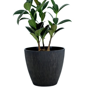 Maceta <span class=keywords><strong>de</strong></span> plástico <span class=keywords><strong>de</strong></span> resina <span class=keywords><strong>de</strong></span> <span class=keywords><strong>gran</strong></span> <span class=keywords><strong>capacidad</strong></span> para jardín y balcón - Product Image 3